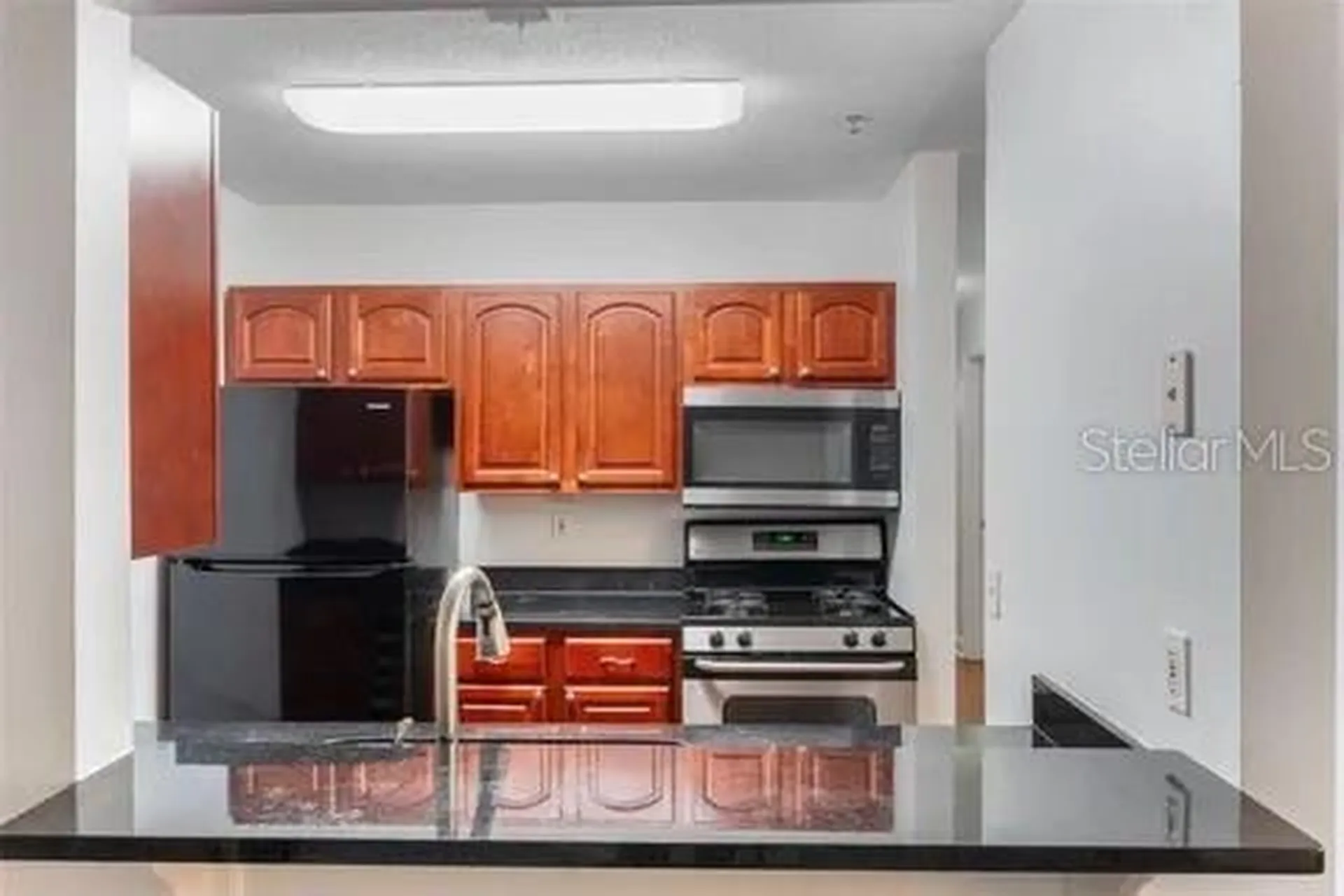 2019 Dixie Belle Drive Orlando FL 32812