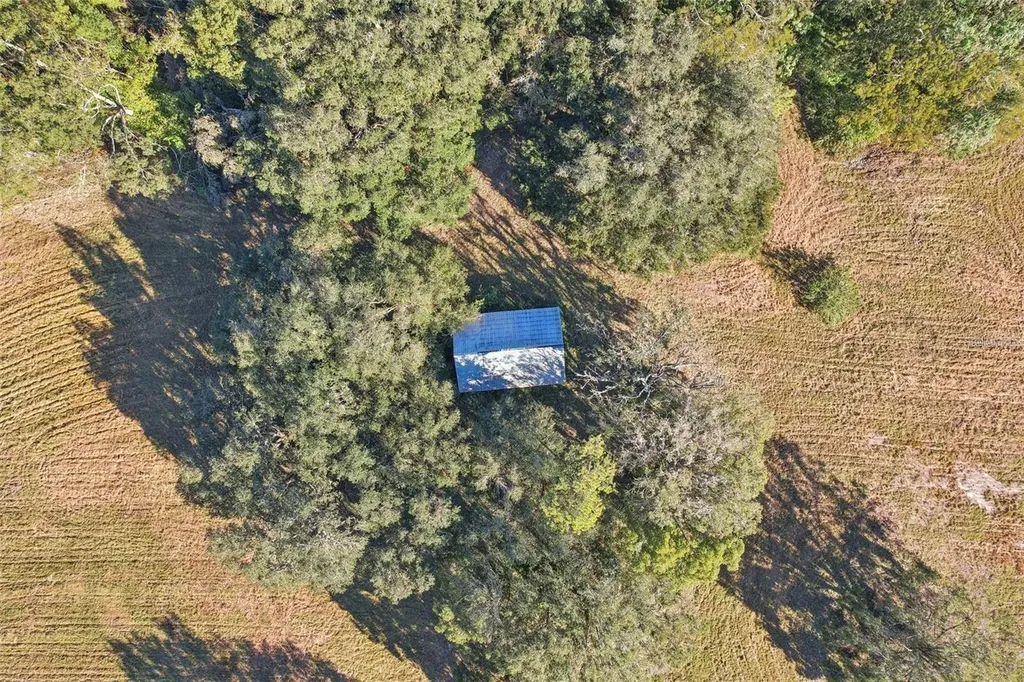 4610 E County Road 542 Lakeland FL 33801