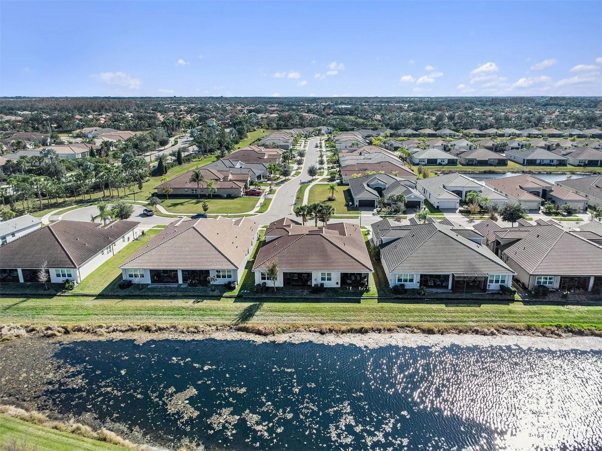 4715 Avila Lakes Drive Wimauma FL 33598