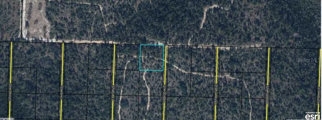 Highway 20 Youngstown FL 32466