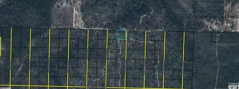 Highway 20 Youngstown FL 32466