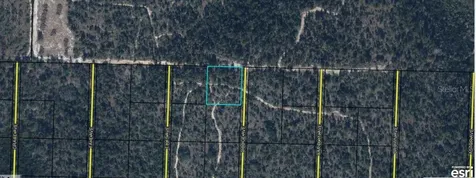 Highway 20 Youngstown FL 32466