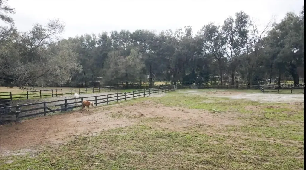 2700 SE 157th Lane Road Summerfield FL 34491