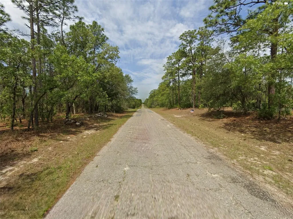 1022 W Cary Drive Citrus Springs FL 34434