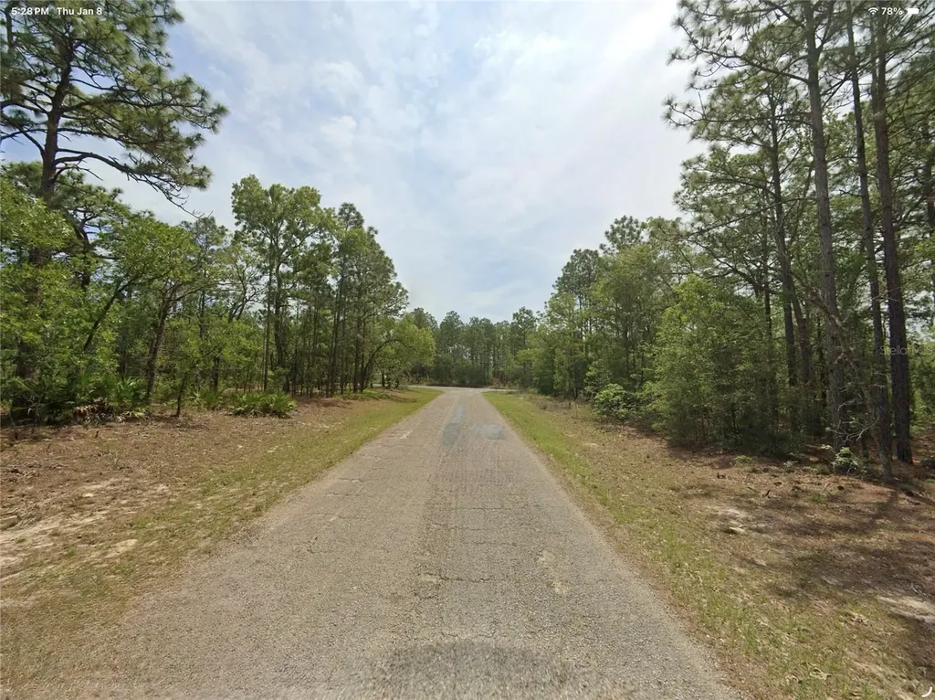 1022 W Cary Drive Citrus Springs FL 34434