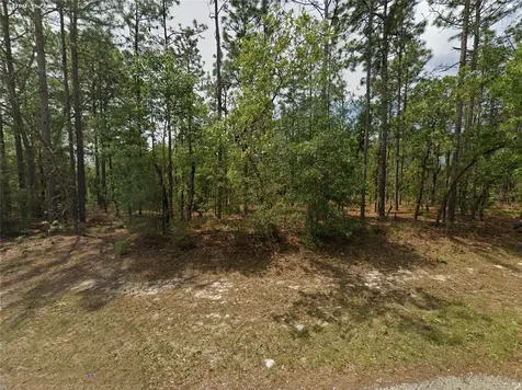 1022 W Cary Drive Citrus Springs FL 34434