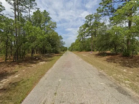 1022 W Cary Drive Citrus Springs FL 34434