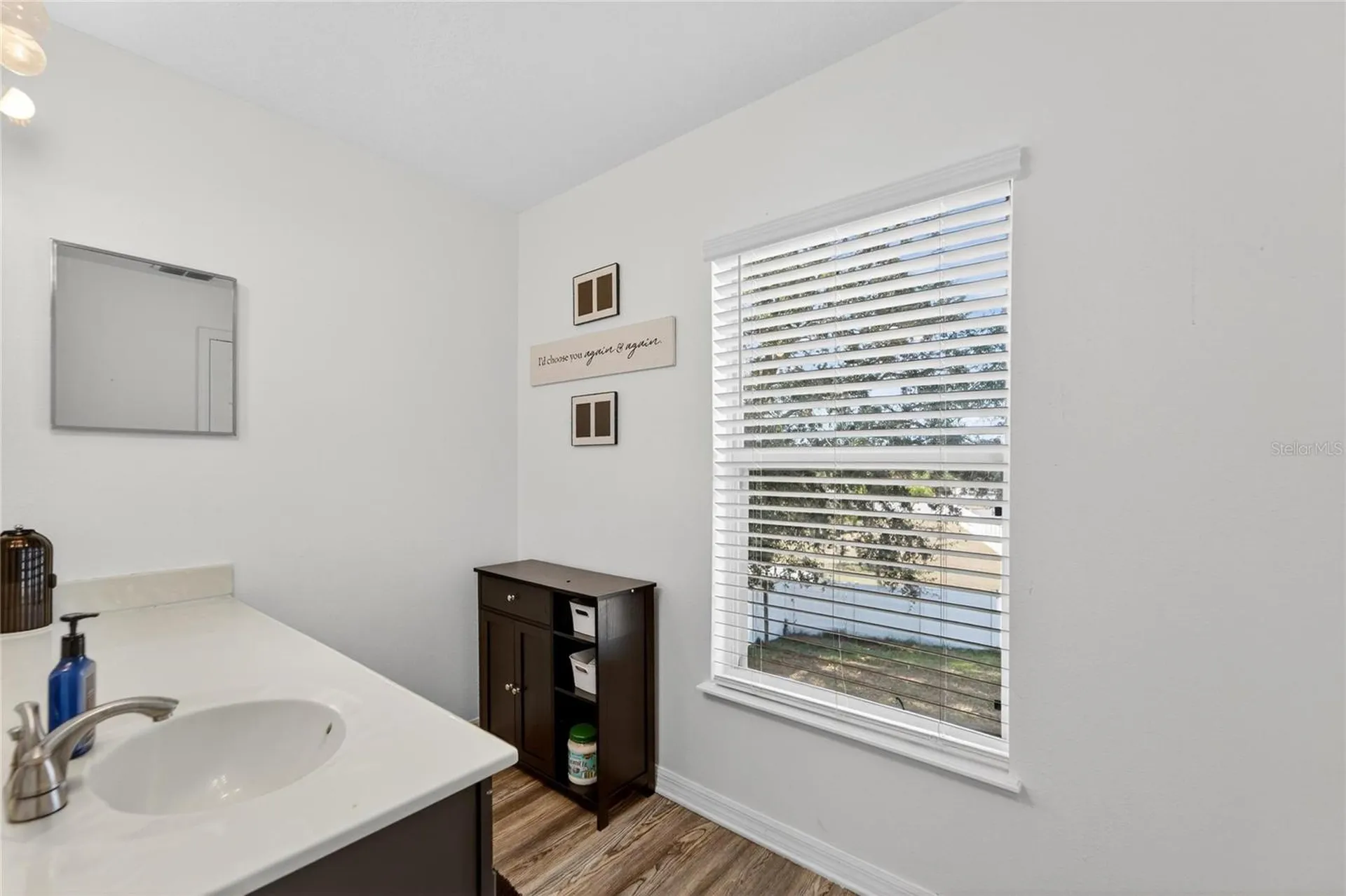 10325 Frog Pond Drive Riverview FL 33569