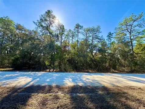 9164 Birmingham Avenue Weeki Wachee FL 34613