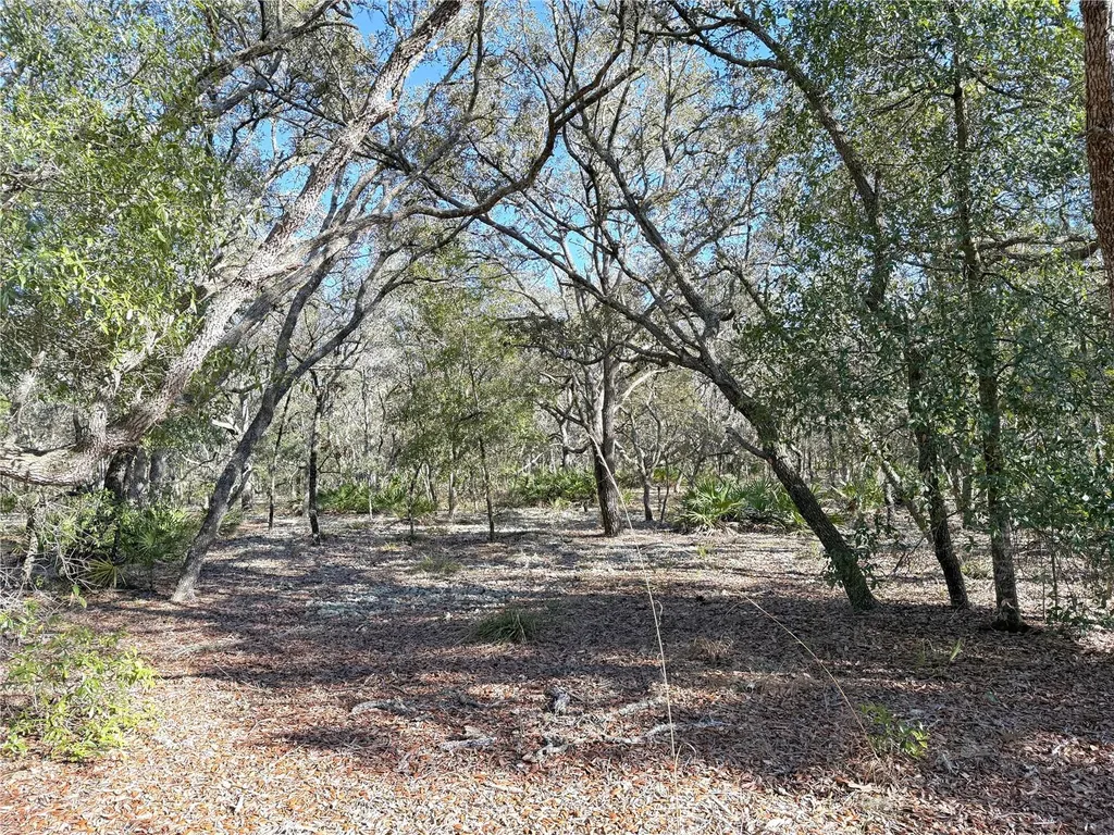 8261 NE 118th Terrace Bronson FL 32621