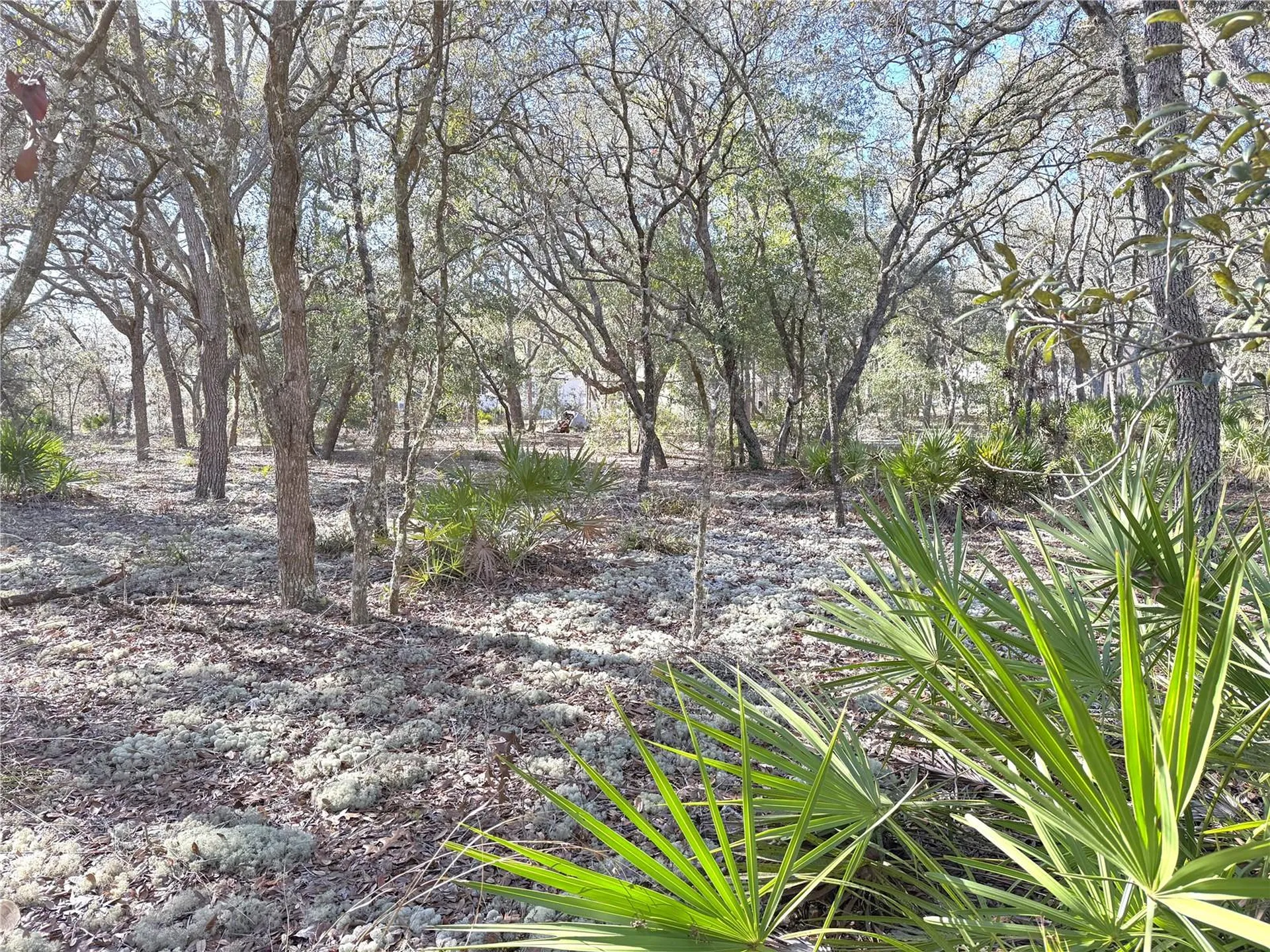8261 NE 118th Terrace Bronson FL 32621