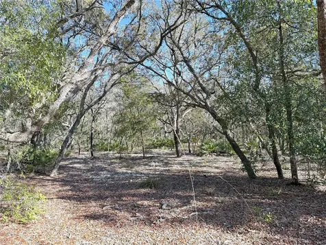 8261 NE 118th Terrace Bronson FL 32621
