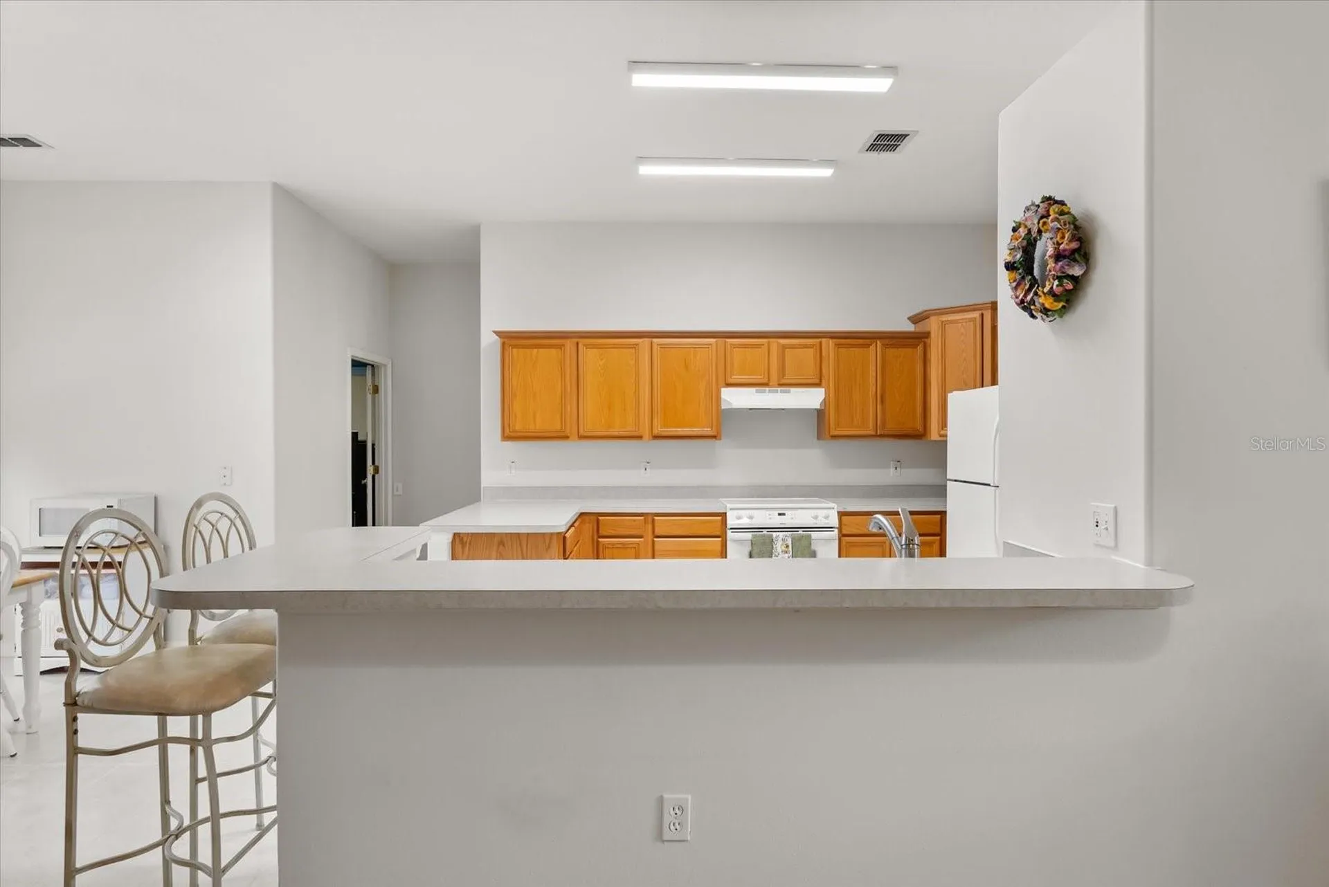 1331 Briarhaven Lane Clermont FL 34711