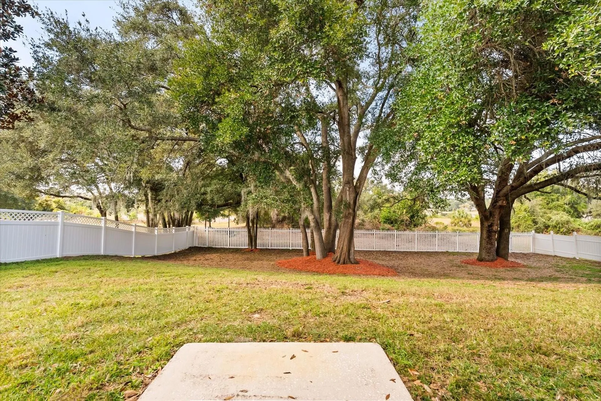 1331 Briarhaven Lane Clermont FL 34711