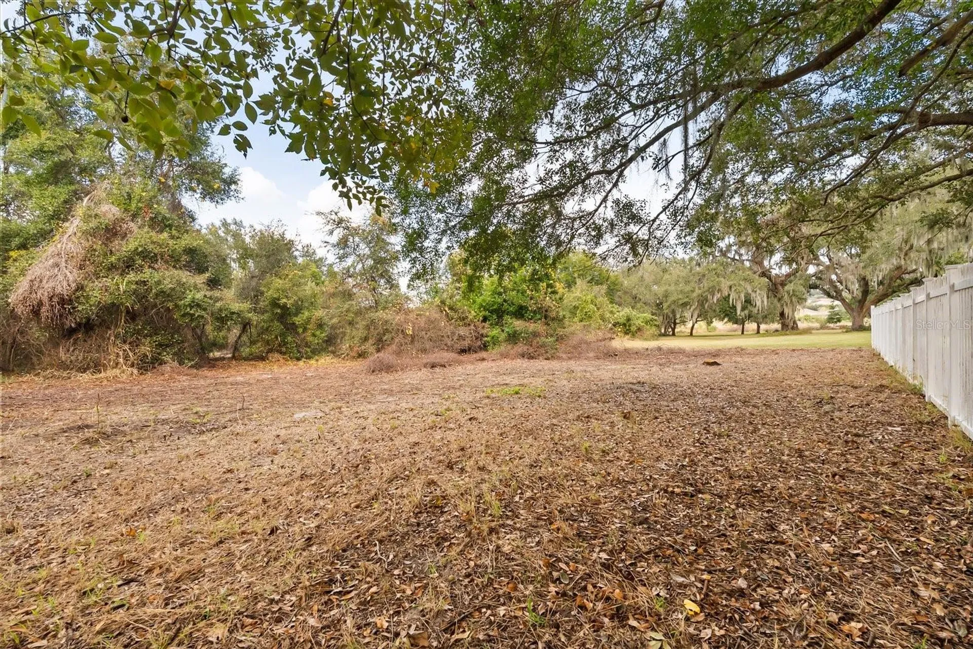 1331 Briarhaven Lane Clermont FL 34711