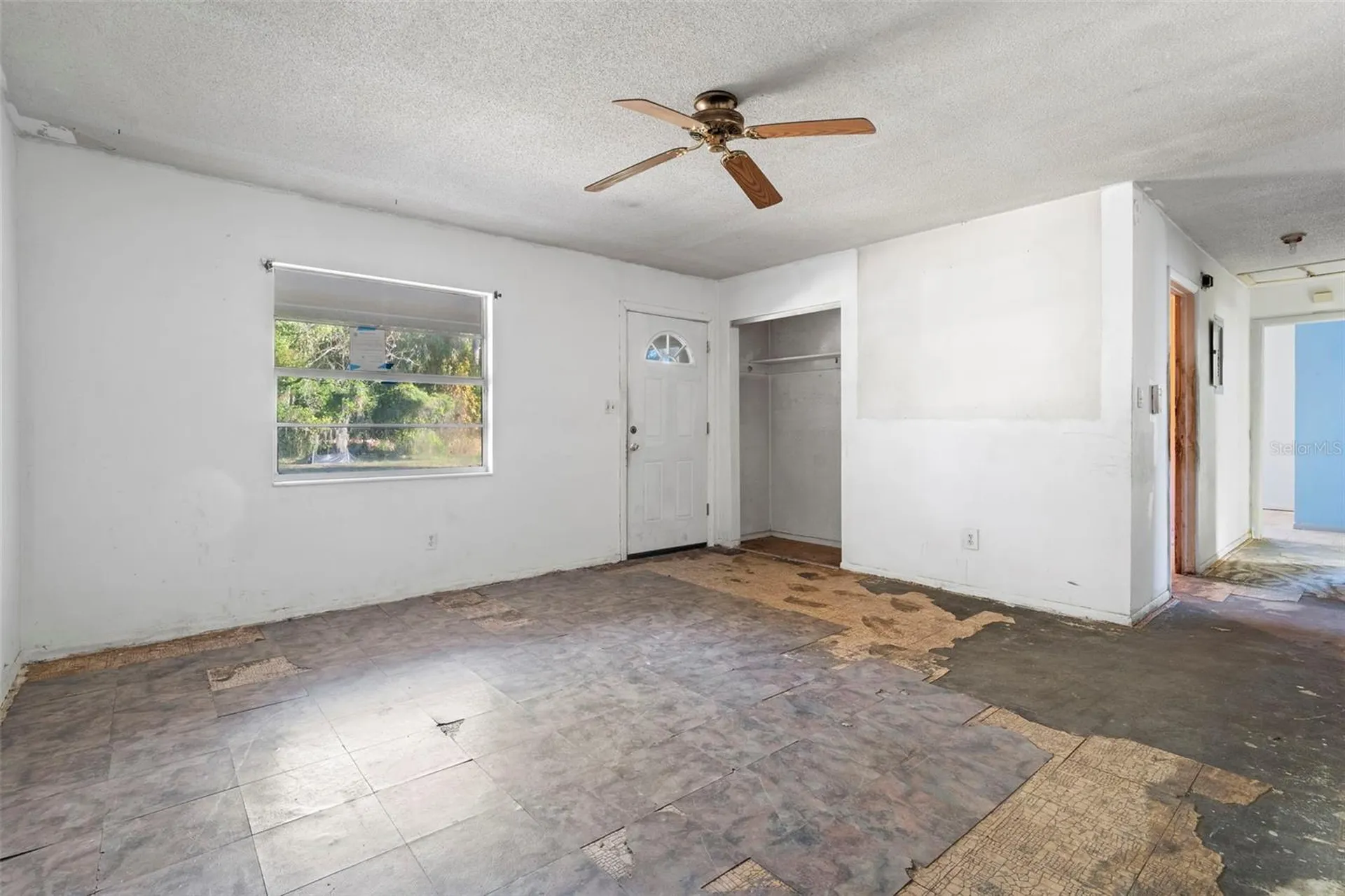 298 Nursery Street Oviedo FL 32765