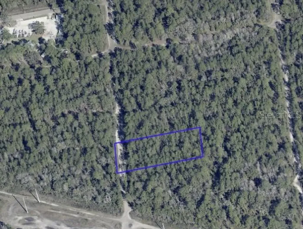 Beckenger Avenue Hastings FL 32145