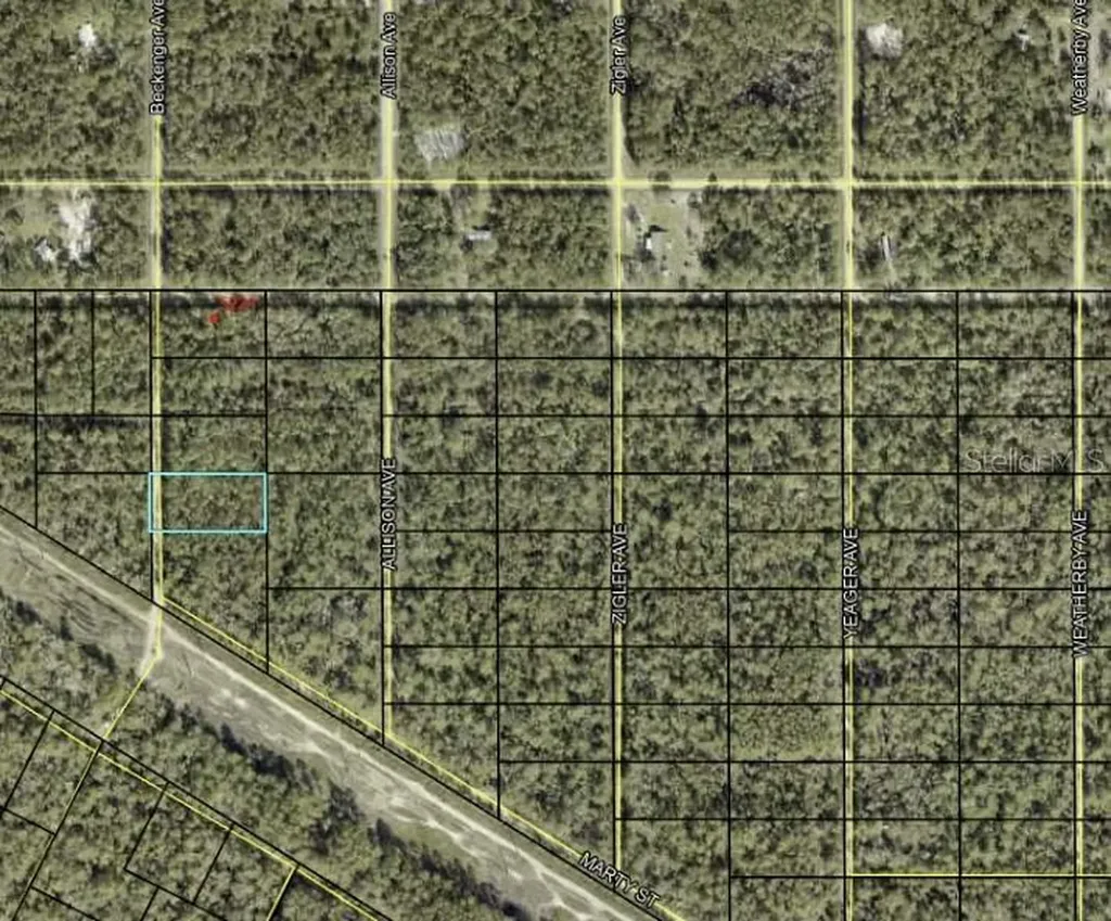 Beckenger Avenue Hastings FL 32145