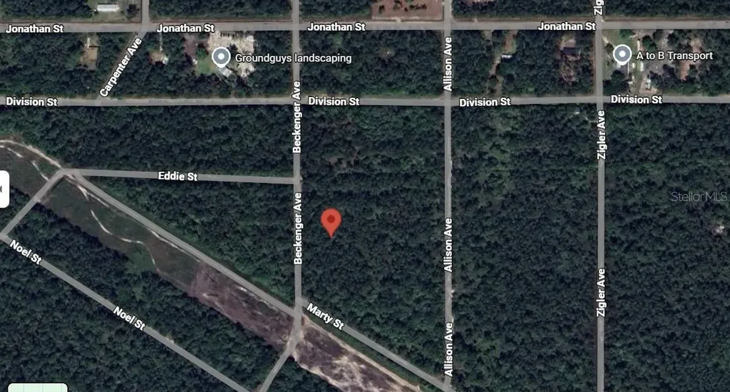 Beckenger Avenue Hastings FL 32145