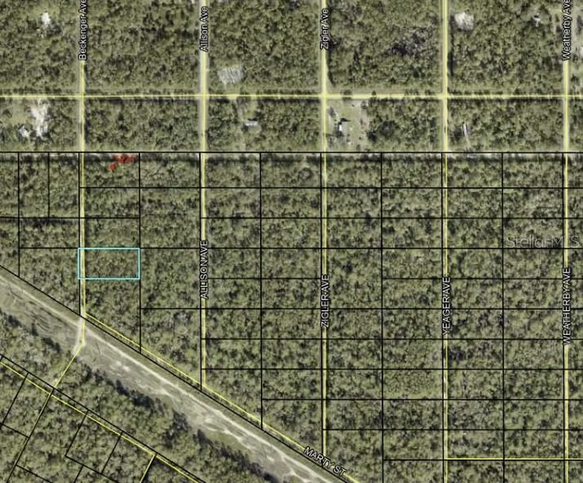 Beckenger Avenue Hastings FL 32145