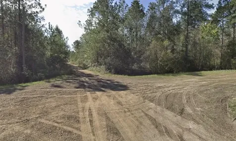 Beckenger Avenue Hastings FL 32145