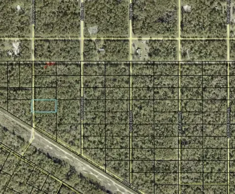 Beckenger Avenue Hastings FL 32145