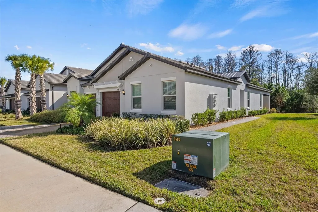 16890 Forge Surf Street Land O Lakes FL 34638