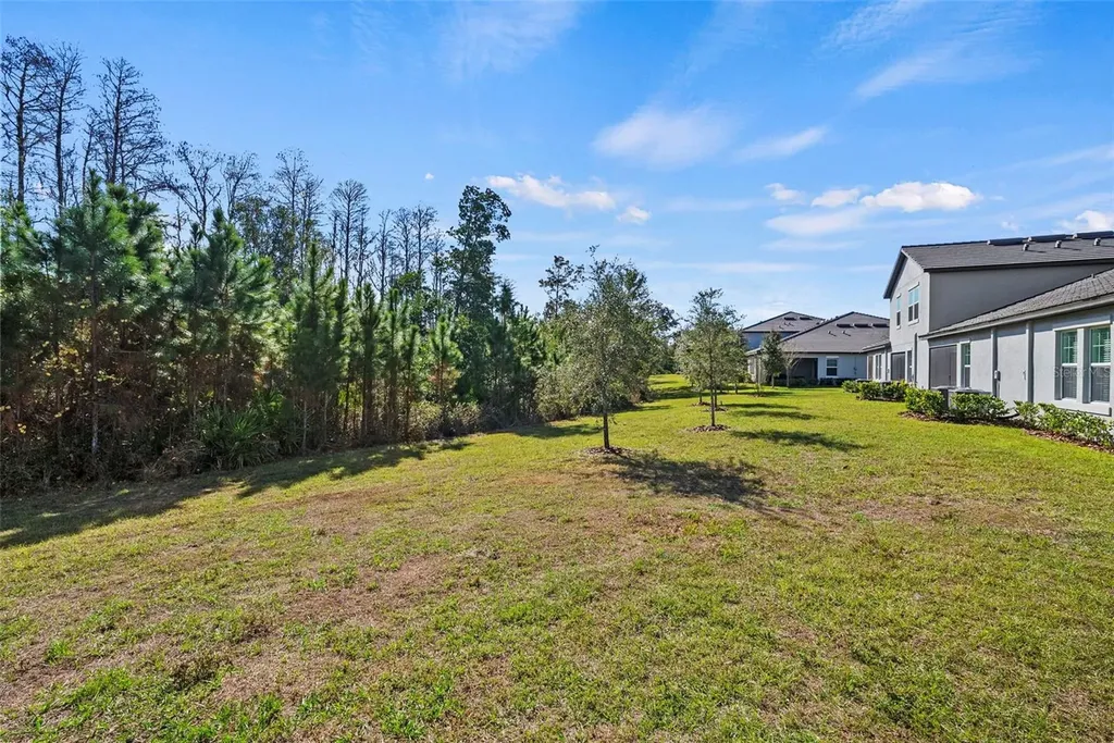16890 Forge Surf Street Land O Lakes FL 34638