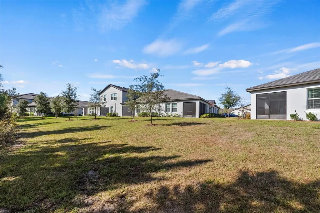16890 Forge Surf Street Land O Lakes FL 34638