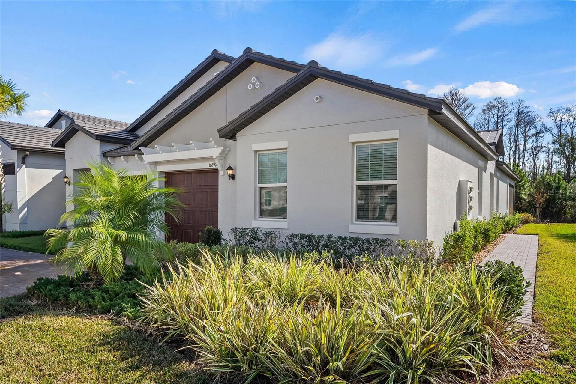 16890 Forge Surf Street Land O Lakes FL 34638