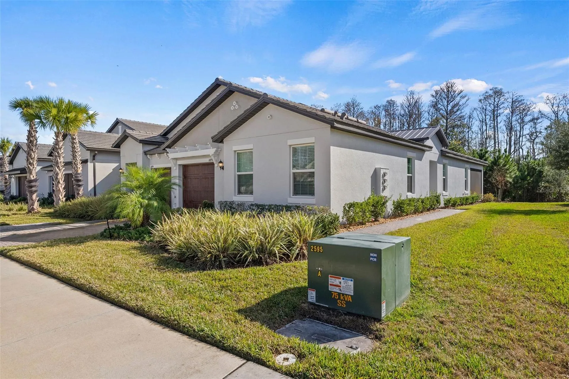 16890 Forge Surf Street Land O Lakes FL 34638
