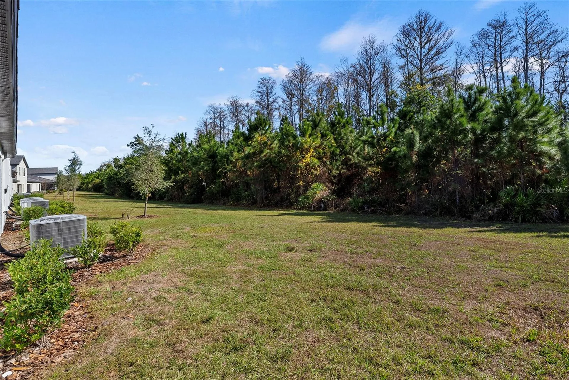 16890 Forge Surf Street Land O Lakes FL 34638