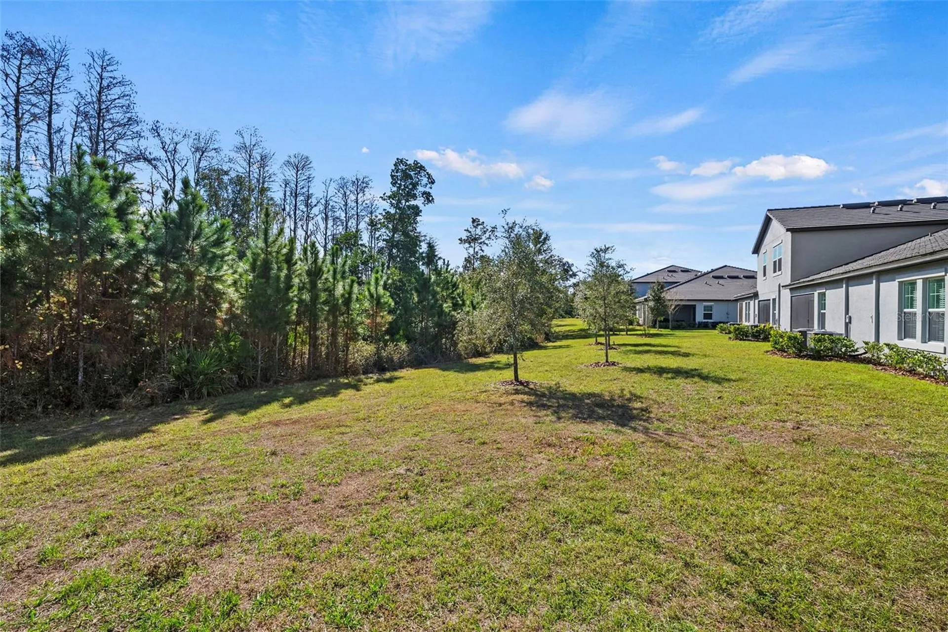 16890 Forge Surf Street Land O Lakes FL 34638
