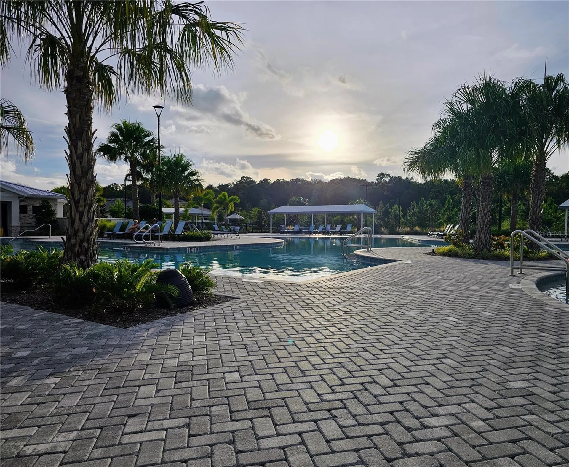 16890 Forge Surf Street Land O Lakes FL 34638
