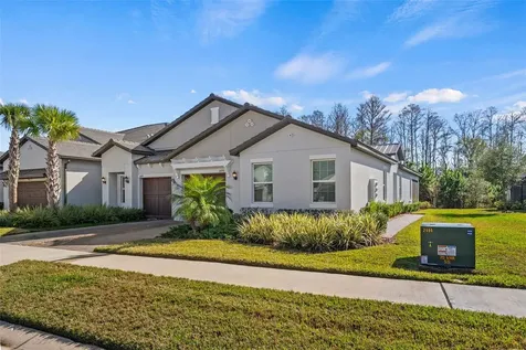 16890 Forge Surf Street Land O Lakes FL 34638