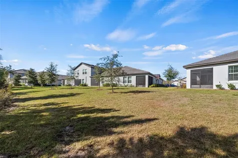 16890 Forge Surf Street Land O Lakes FL 34638
