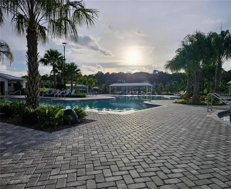 16890 Forge Surf Street Land O Lakes FL 34638