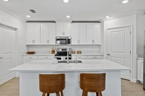 16890 Forge Surf Street Land O Lakes FL 34638