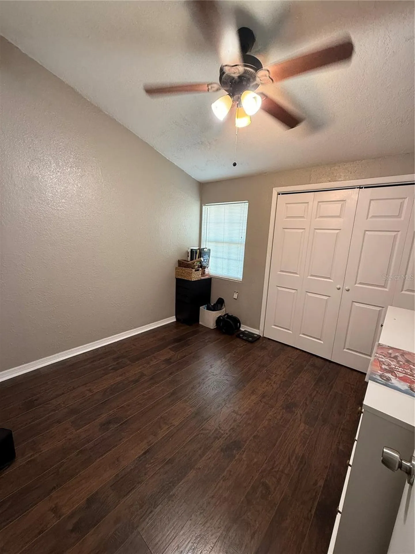1009 Lenna Avenue Seffner FL 33584