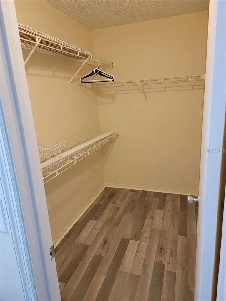 4211 Chatham Oak Court Tampa FL 33624