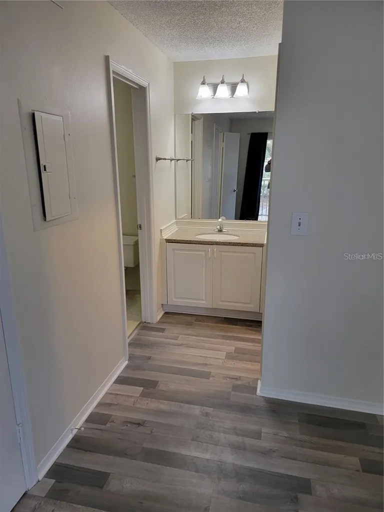 4211 Chatham Oak Court Tampa FL 33624