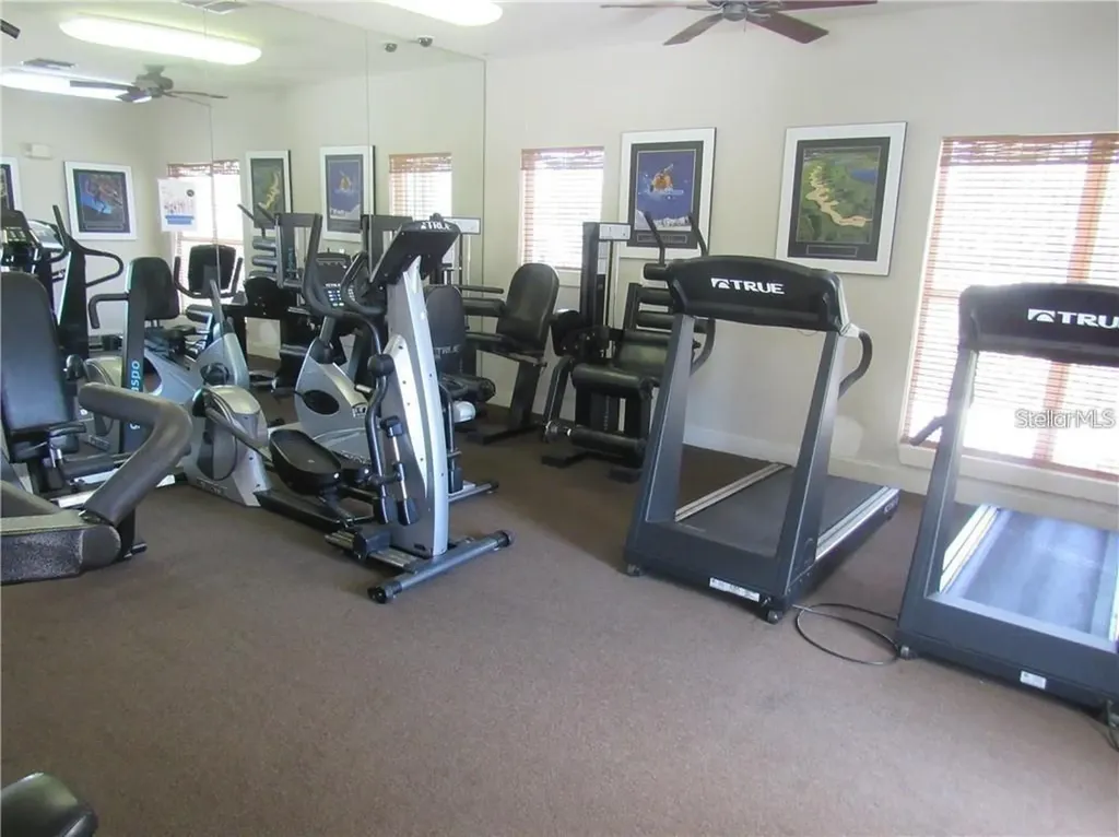 4211 Chatham Oak Court Tampa FL 33624