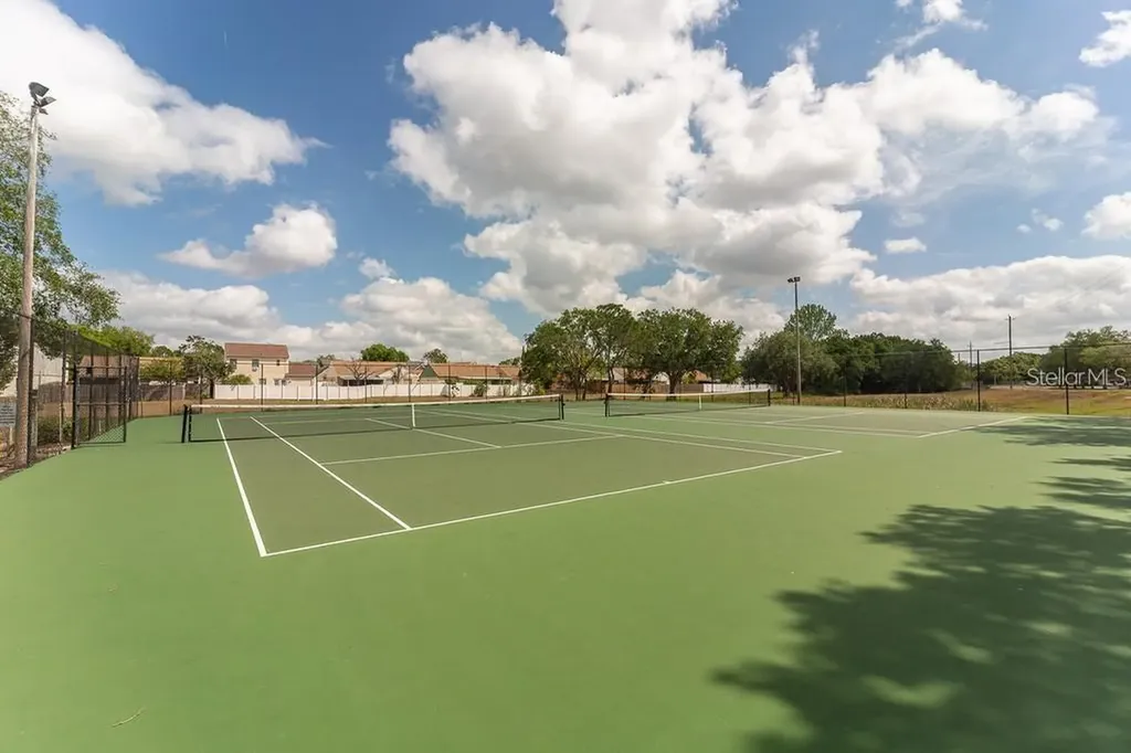 4211 Chatham Oak Court Tampa FL 33624