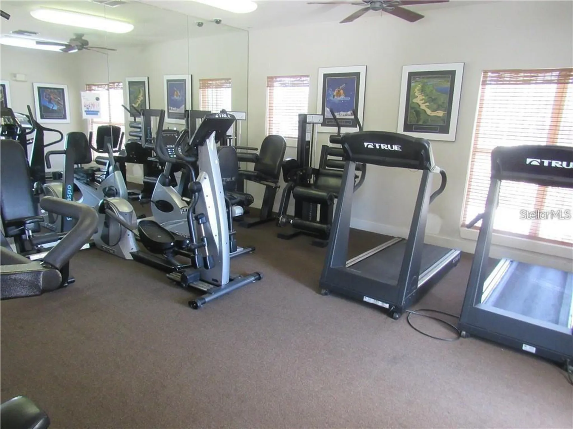 4211 Chatham Oak Court Tampa FL 33624