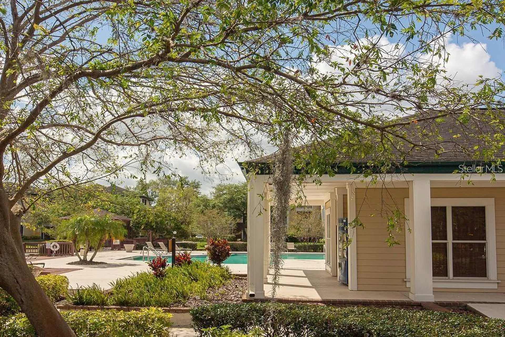 4211 Chatham Oak Court Tampa FL 33624