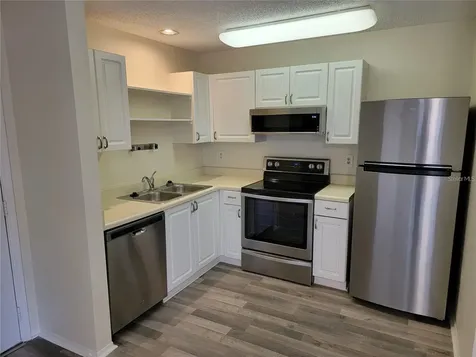4211 Chatham Oak Court Tampa FL 33624