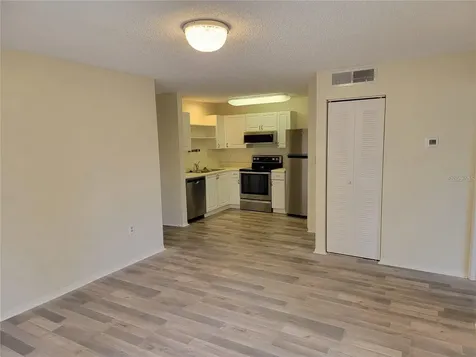 4211 Chatham Oak Court Tampa FL 33624