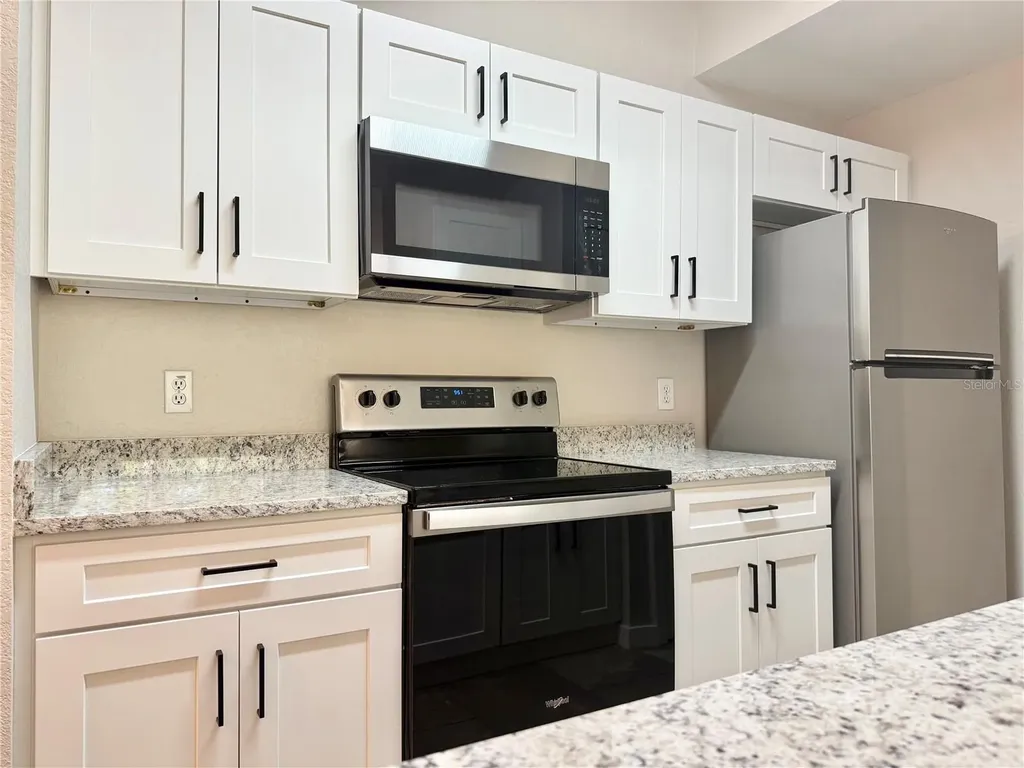 17114 Carrington Park Drive Tampa FL 33647