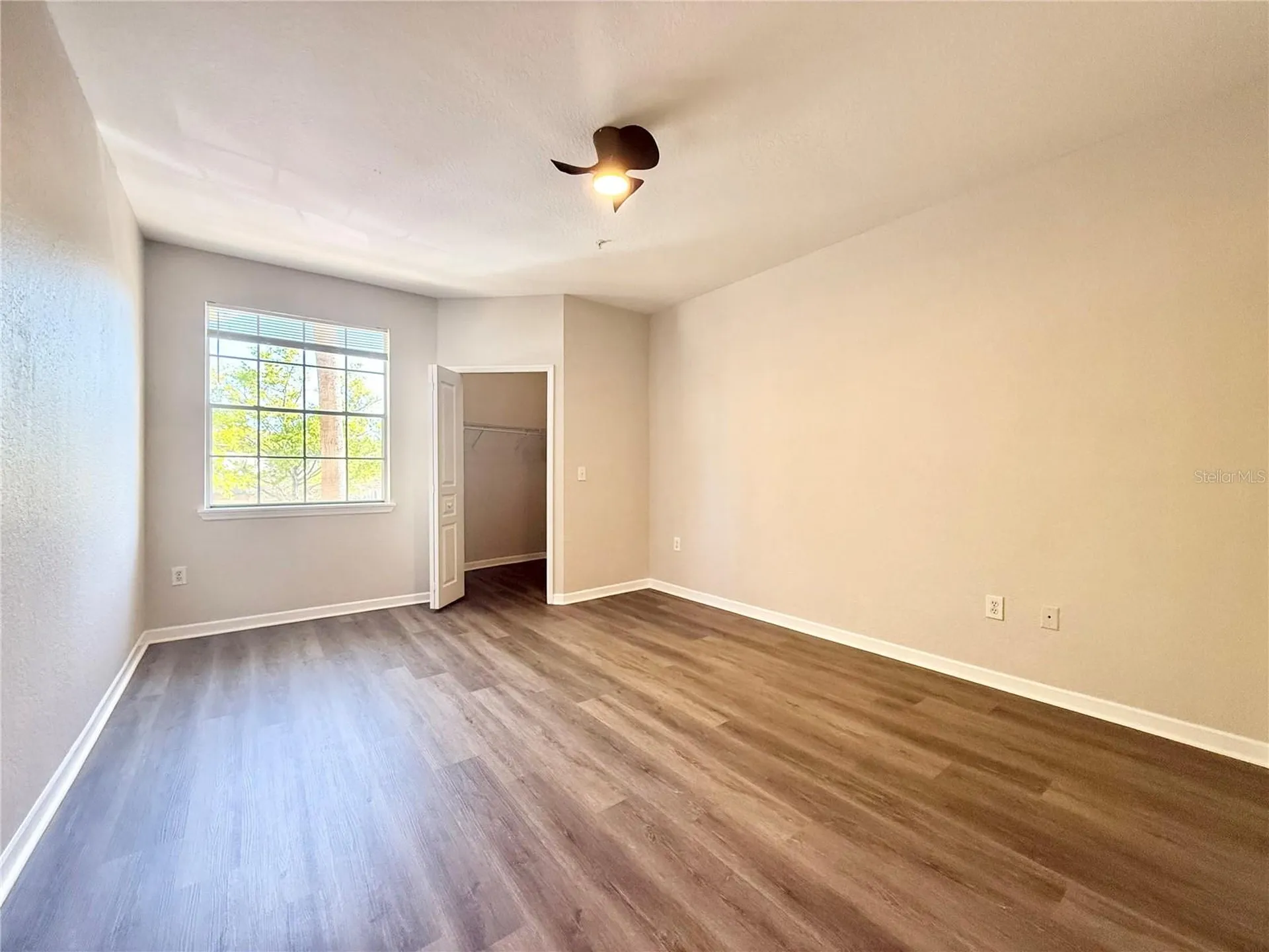 17114 Carrington Park Drive Tampa FL 33647