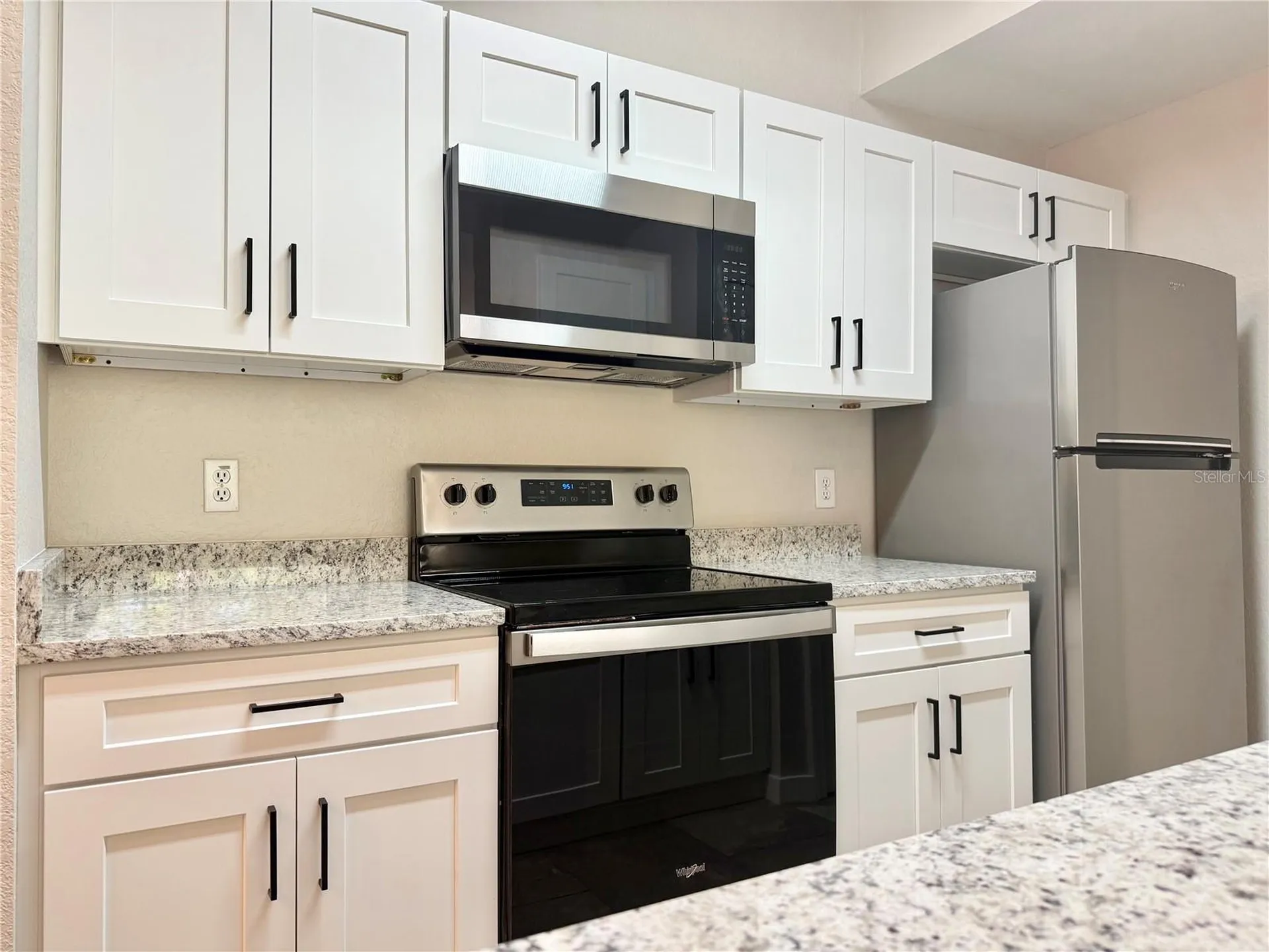 17114 Carrington Park Drive Tampa FL 33647